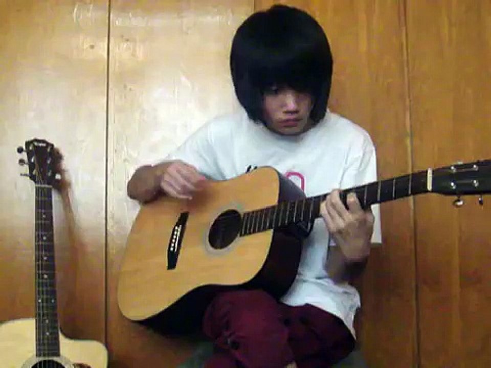 (Paddy Sun) Sunflower - Paddy Sun