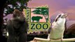 Animals Get Valentines Day Treats - Cincinnati Zoo