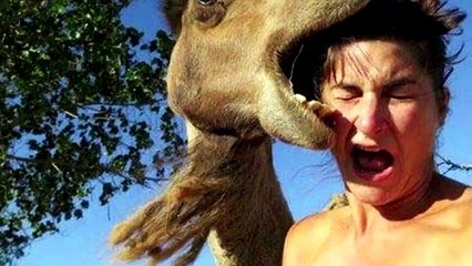 10 Most Devastating Animal Attacks Ever