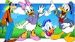 Donald Duck Finger Family Collection Donald Duck Cartoon Animation Nursery Rhymes for Children