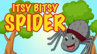 Itsy Bitsy Spider | Nursery Rhyme Song