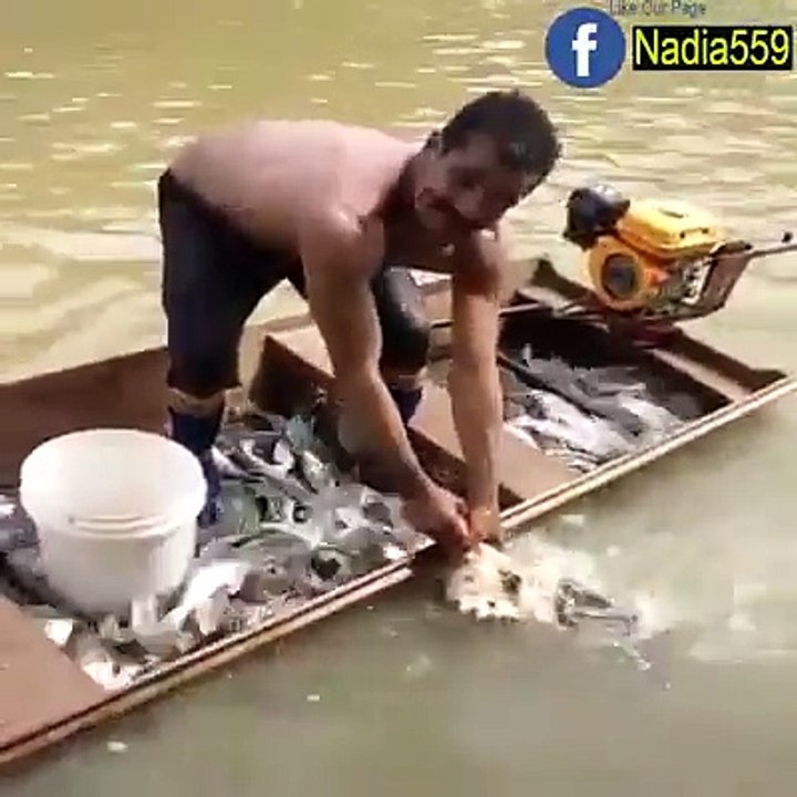 wow Amazing Fishing