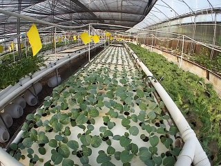 Gilles - Présentation