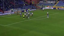 Sampdoria 1-0 Torino FC - All Goals Exclusive - (04/12/2016) / SERIE A