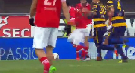 Hellas Verona 2-1 AC Perugia - All Goals And Highlights - 4.12.2016