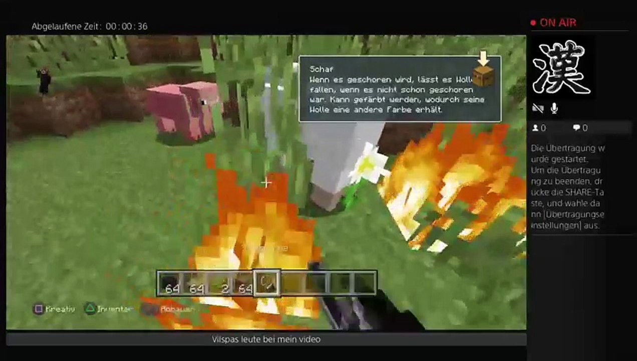 die mega bosse pvp (89)