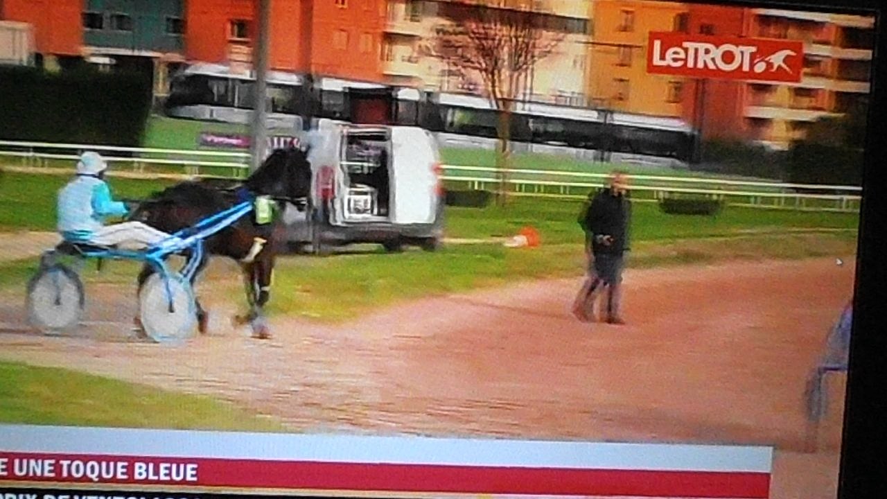 PC040002 Toulouse 04 12 2016 Easy star prend une belle 2ém