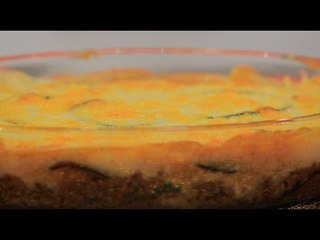 بشاميل لايت | غادة التلي