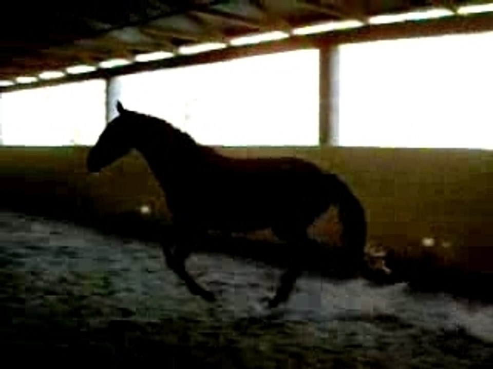Romane août 2007