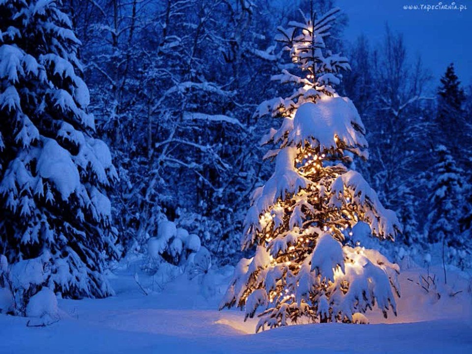 Magia Świąt - Cover By Hannah