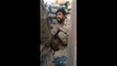Un soldat troll un sniper de Daesh.