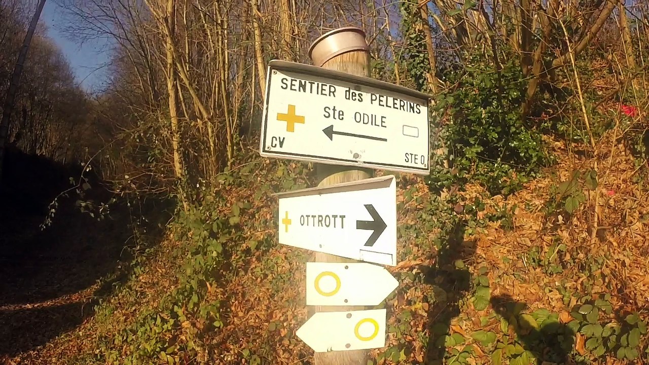 Sortie trail saint odile 04.12