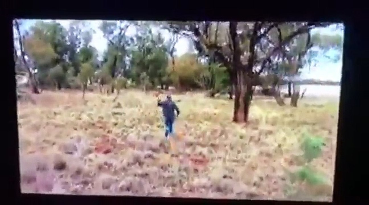 Il se bat avec un kangourou pour sauver son chien !