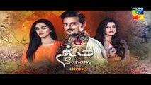 Sanam Episode 13 Promo HD HUM TV Drama 28 November 2016