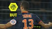 But Ellyes SKHIRI (48ème) / Montpellier Hérault SC - Paris Saint-Germain - (3-0) - (MHSC-PARIS) / 2016-17