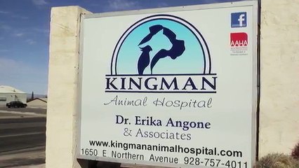 Kingman Animal Hospital - Short | Kingman, AZ