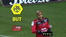 But Jimmy BRIAND (22ème) / EA Guingamp - FC Nantes - (2-0) - (EAG-FCN) / 2016-17