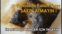 Çayı Sadece İçmekle Yetinmeyin. İşte Demlikte Kalan Çayın Mucize Faydaları.