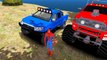 Monster Truck Cars Cars for Children and Toddlers! Spiderman Cartoon Nursery Rhymes Songs Videos 2