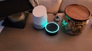Amazon Echo and Google Home get trapped in a never ending loop