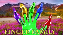 3D Horse Colours Songs Collection, Learning Colours For Children Nursery Rhymes Finger Family Songs