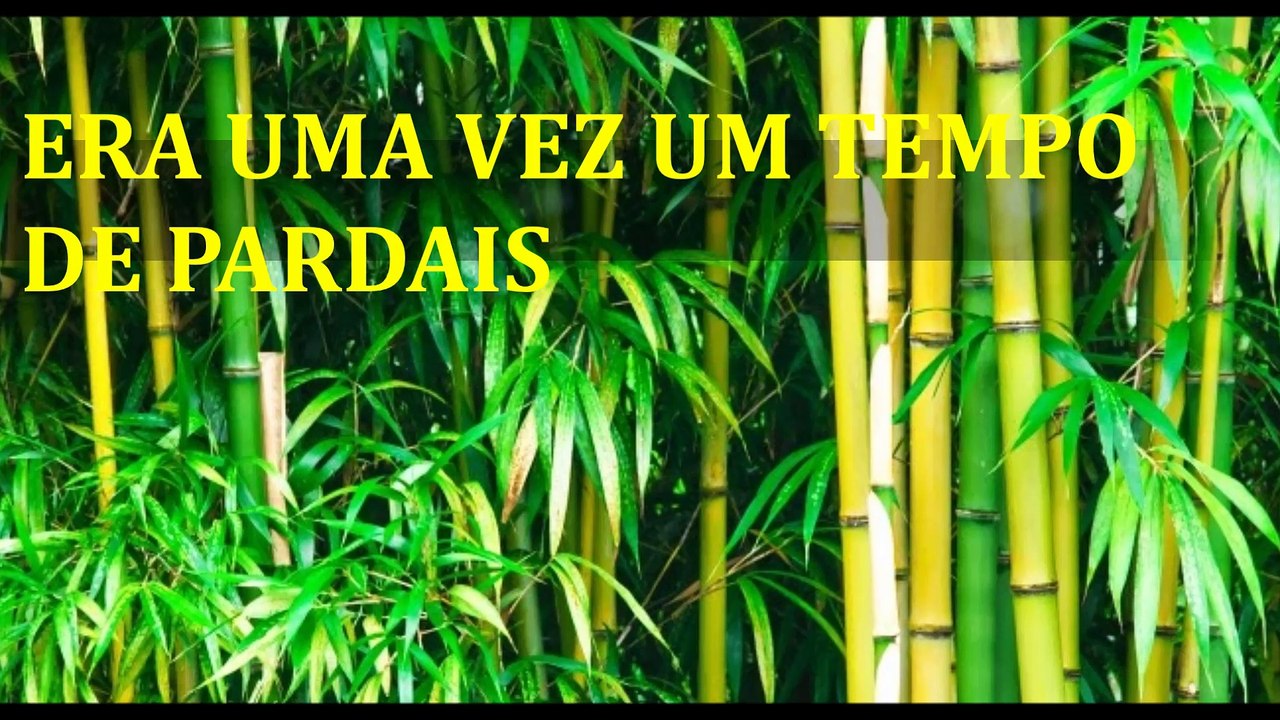 TEMPO DOS QUINTAIS