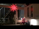 Crooning Cockatoo Sings Classy Christmas Carol