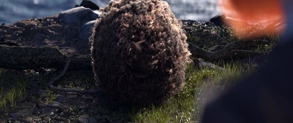 Cosmos Laundromat (2015)