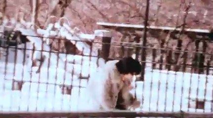 Robert.rg395@gmail.com