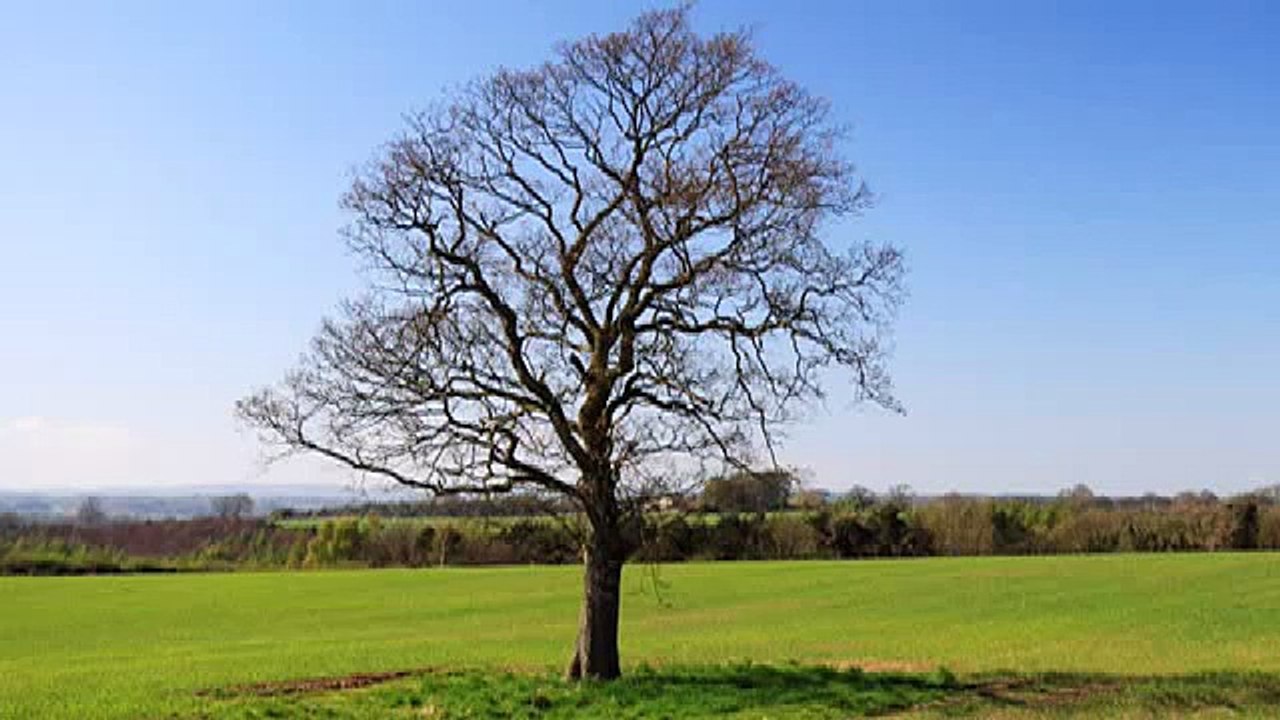 Sad Piano Instrumental Music Love Songs Emotional Beautiful that make you cry