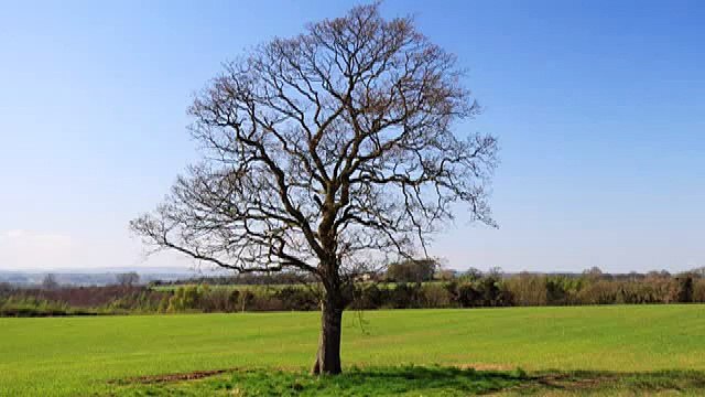 Sad Piano Instrumental Music Love Songs Emotional Beautiful that make you cry