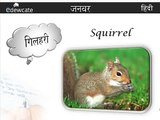 Animal Names in Hindi | Hindi Lessons for Kids | Hindi Nursery Kids Rhymes
