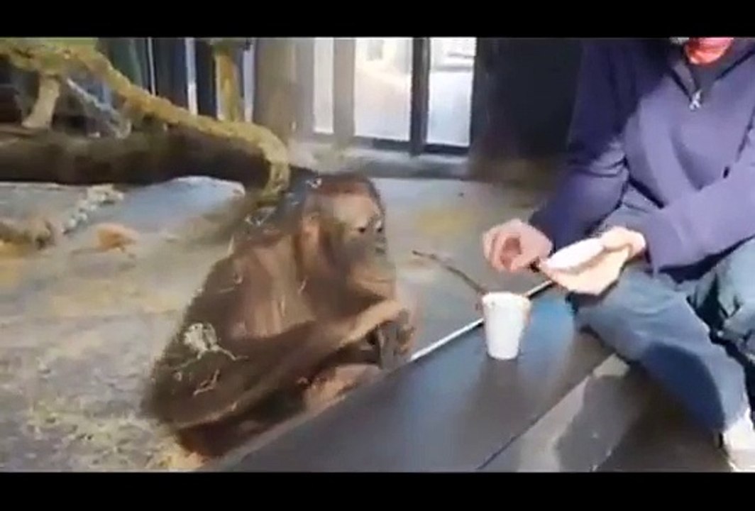 Monkeyy....