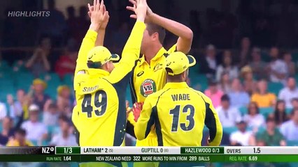 New Zealand Innings Highlights 🏏