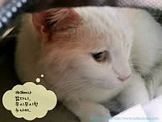 ♥OP-CLUB쩜COM♥수원오피♥강남오피♥∴부산키스방♥천안오피♥╁부산안마♥안양건마♡