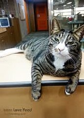 ♥OP-CLUB쩜COM♥동탄안마♥∴성남휴게텔♪수원안마♥♡노원키스방♥신촌립패티쉬♥인천안마♥강남오피♥