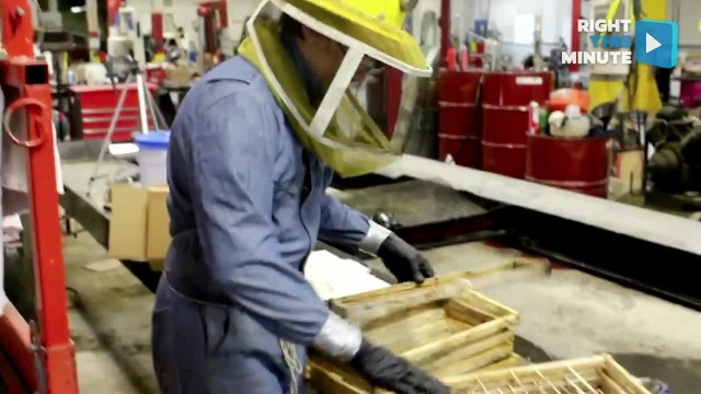 Amateur Beekeeper Stung About 100 Times While Saving Bees