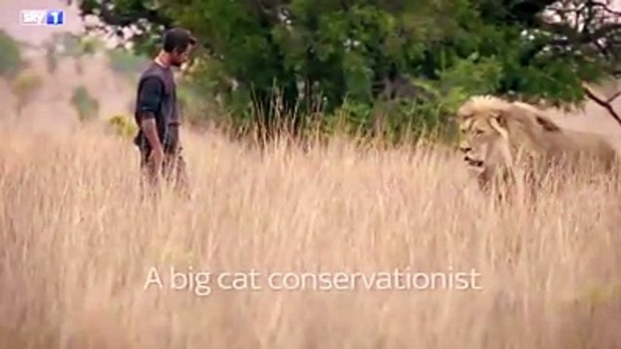 Lion With Man Love Each Other