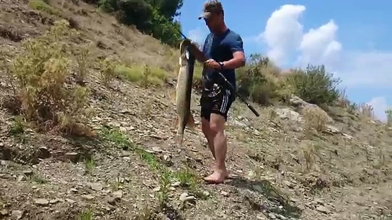 Smart fish