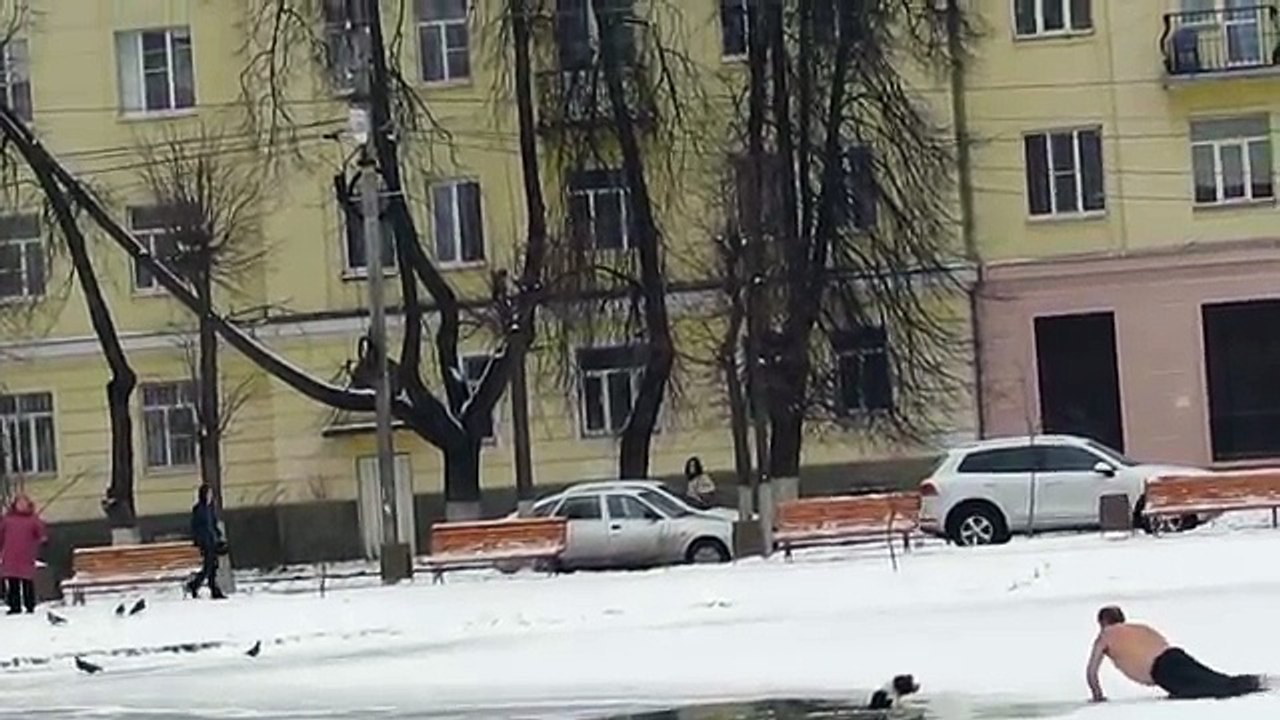 Hero saves dog
