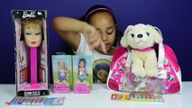 Giant Barbie Pez Candy Dispenser - Barbie Puppy Pet Doctor Check Up - Dolls Review