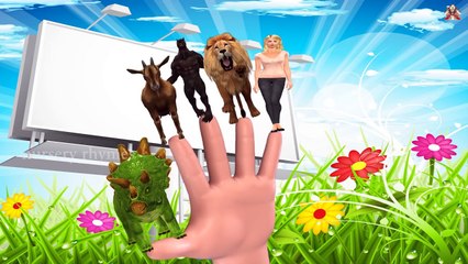 Finger Family || HUMAN , WILD ANIMALS Version || Children Animated 3D Rhymes