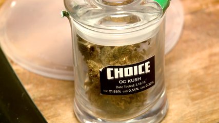 Un chef cuisinier réalise des plats avec du Cannabis