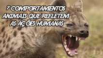 7 comportamentos animais que refletem o pior lado da humanidade