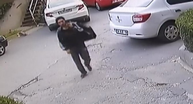 Mahallelinin korkulu rüyası haline geldi!