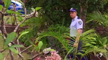 Home and Away 6567 5th December 2016 HD
