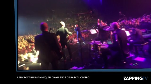 Pascal Obispo fait un Mannequin Challenge géant en plein concert, la vidéo buzz