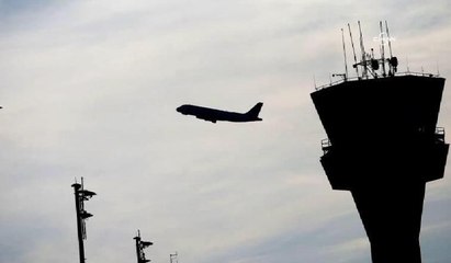 Pilottan kuleye: Tam sağımızda 10 metre ileride küçük bir kedi var