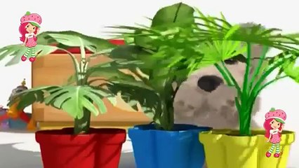 Çizgi film ayıcık bombo dinazor oluyor