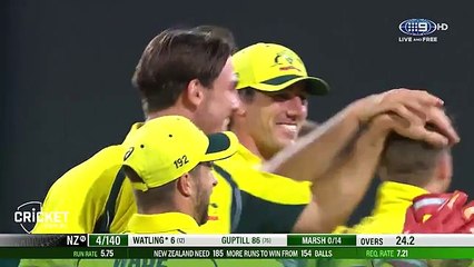 Cricket - Arret de l'année par Smith